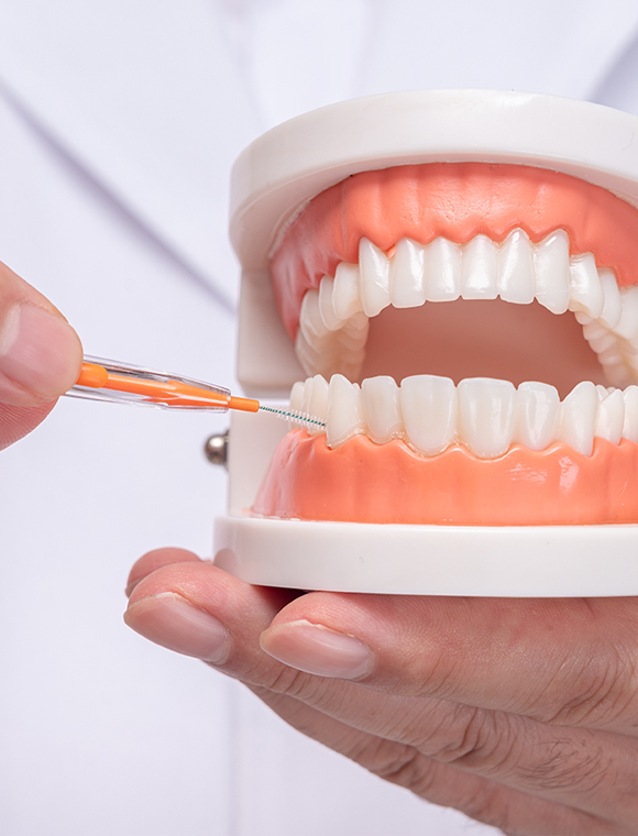 https://www.dentalsynergy.fr/wp-content/uploads/Brossettes-Dentiste-Saint-Germain-en-Laye.jpg